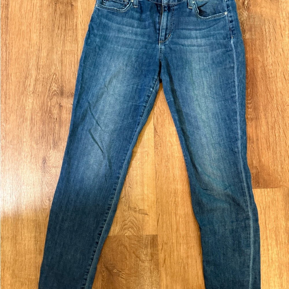 Joe's Jeans Women's Skinny Denim